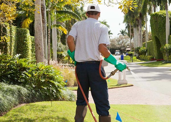 About Kittery Point ME Pest Control Pros